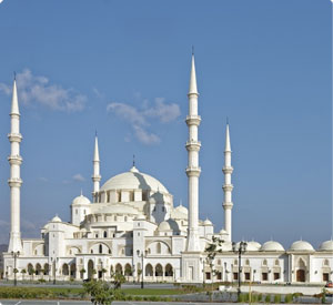 caroucel image 2